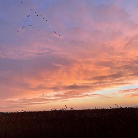 Deichkoje12 Direkt Am Eiderdeich Nur 7 Km Bis Zur Nordsee Und 20 Min Bis Sankt Peter Ording Tönning Buitenkant foto
