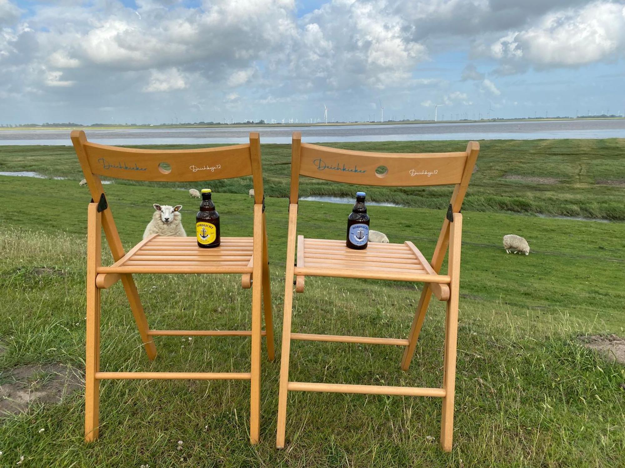 Deichkoje12 Direkt Am Eiderdeich Nur 7 Km Bis Zur Nordsee Und 20 Min Bis Sankt Peter Ording Tönning Buitenkant foto